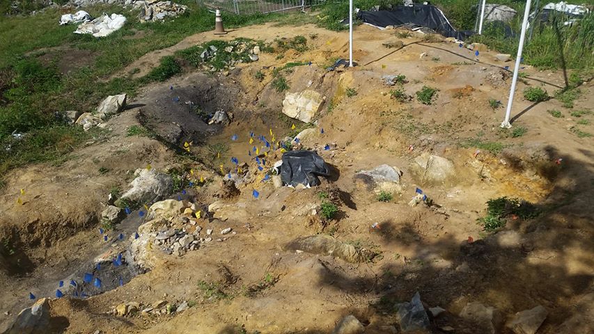 29217007_10116439290506934_7557437321763618816_o