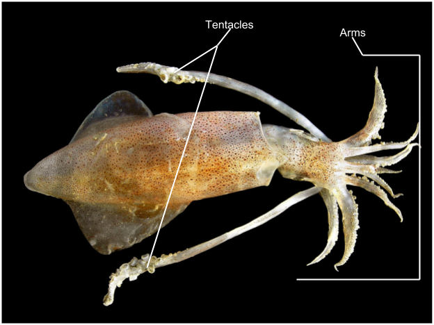 sBkgwewqVaTIjOPfxqjaR6g