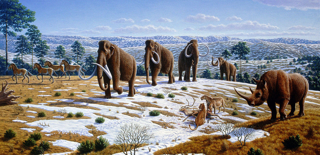 Episode 25 – The Pleistocene Megafaunal Extinction – The Common Descent ...