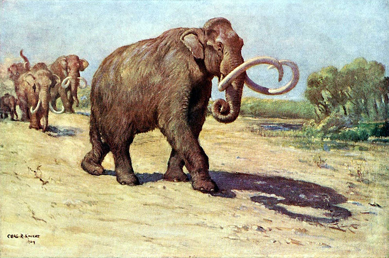 Columbian_mammoth