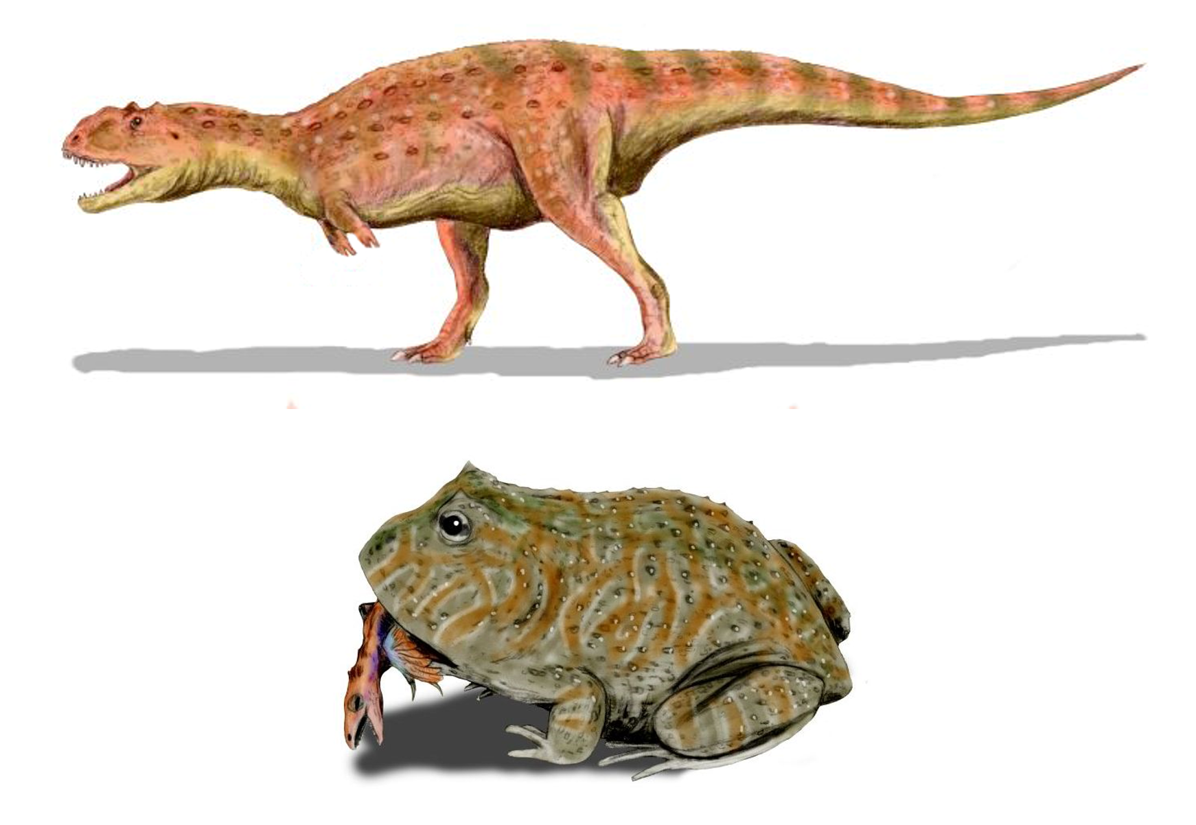 Madagascar_Cretaceous