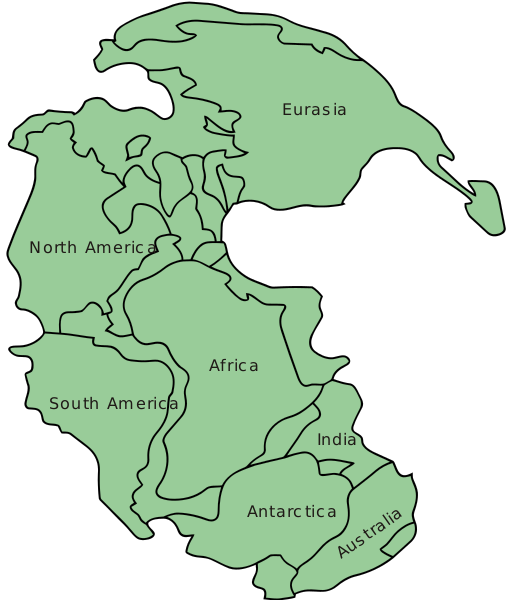 509px-Pangaea_continents.svg.png