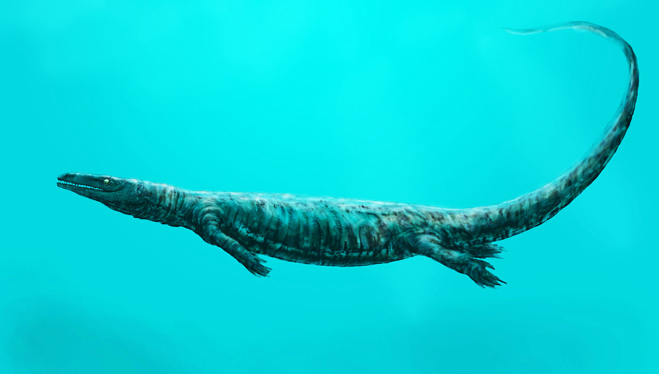 Aigialosaurus_bucchichi