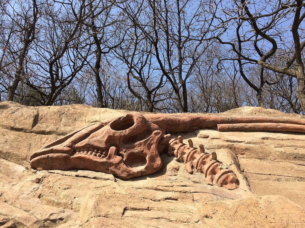Fake_dinosaur_fossil_in_Dalian_China_6.jpeg