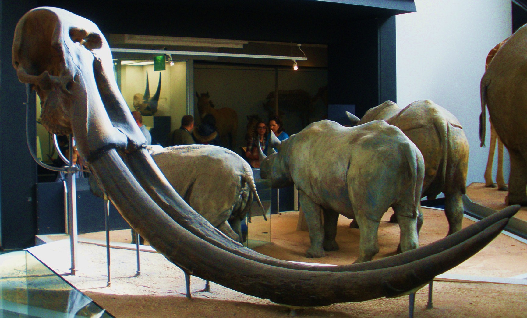 OLYMPUS DIGITAL CAMERA