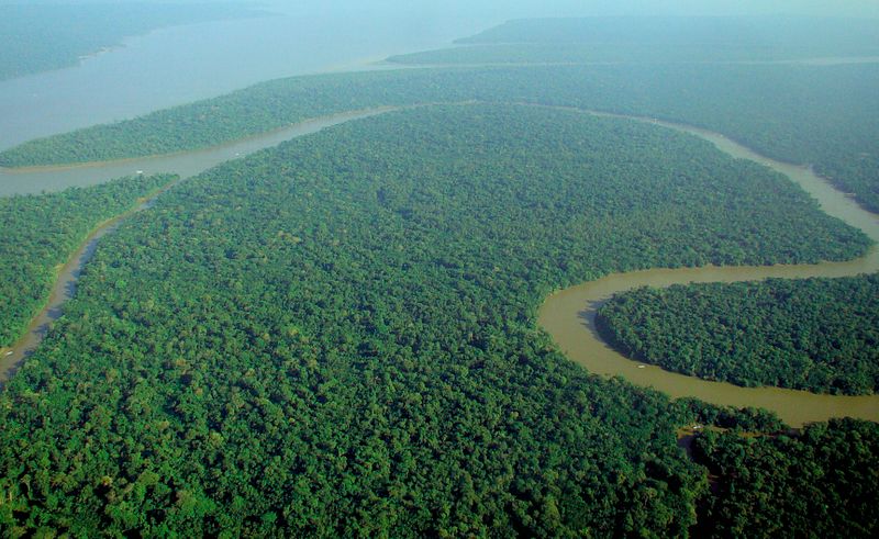 800px-Aerial_view_of_the_Amazon_Rainforest