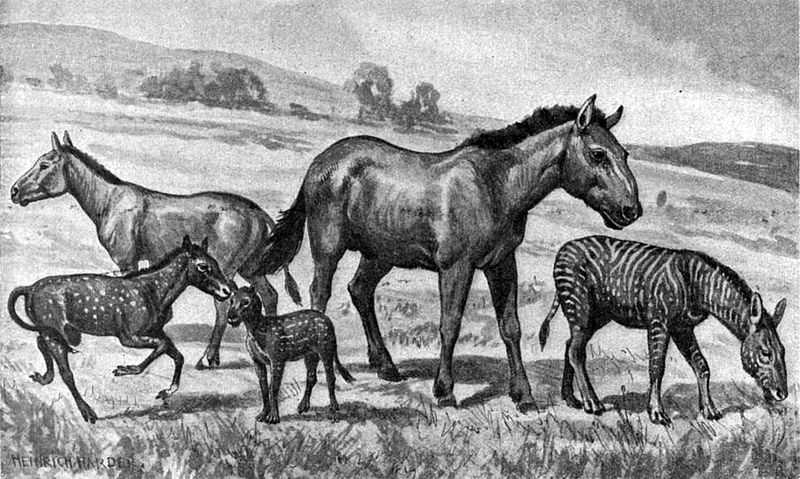 Extinct_horses
