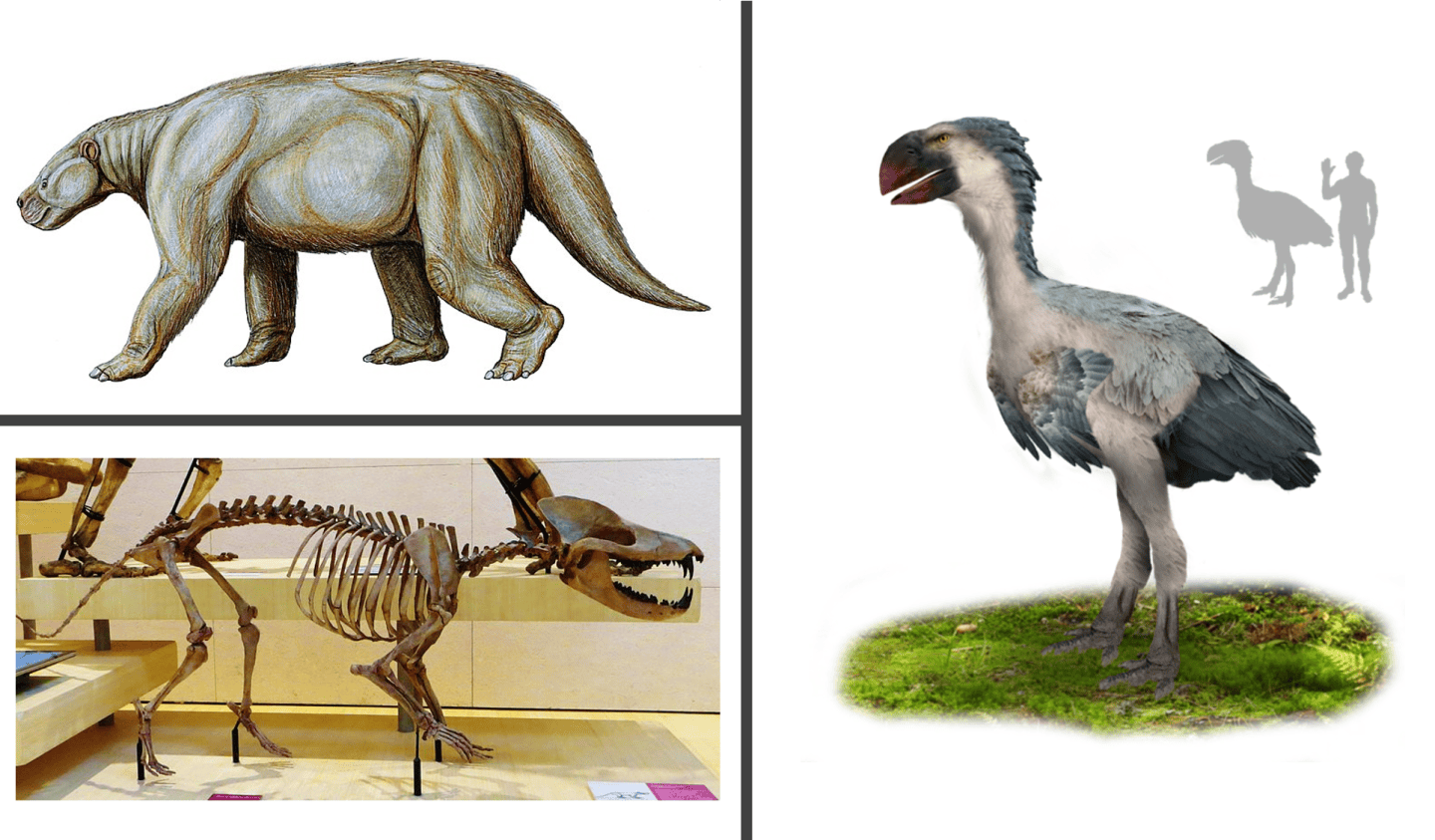 Episode 103 – The Paleocene-Eocene Thermal Maximum – The Common Descent ...