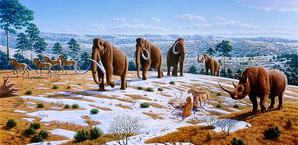 Episode 115 – Biomes – The Common Descent Podcast