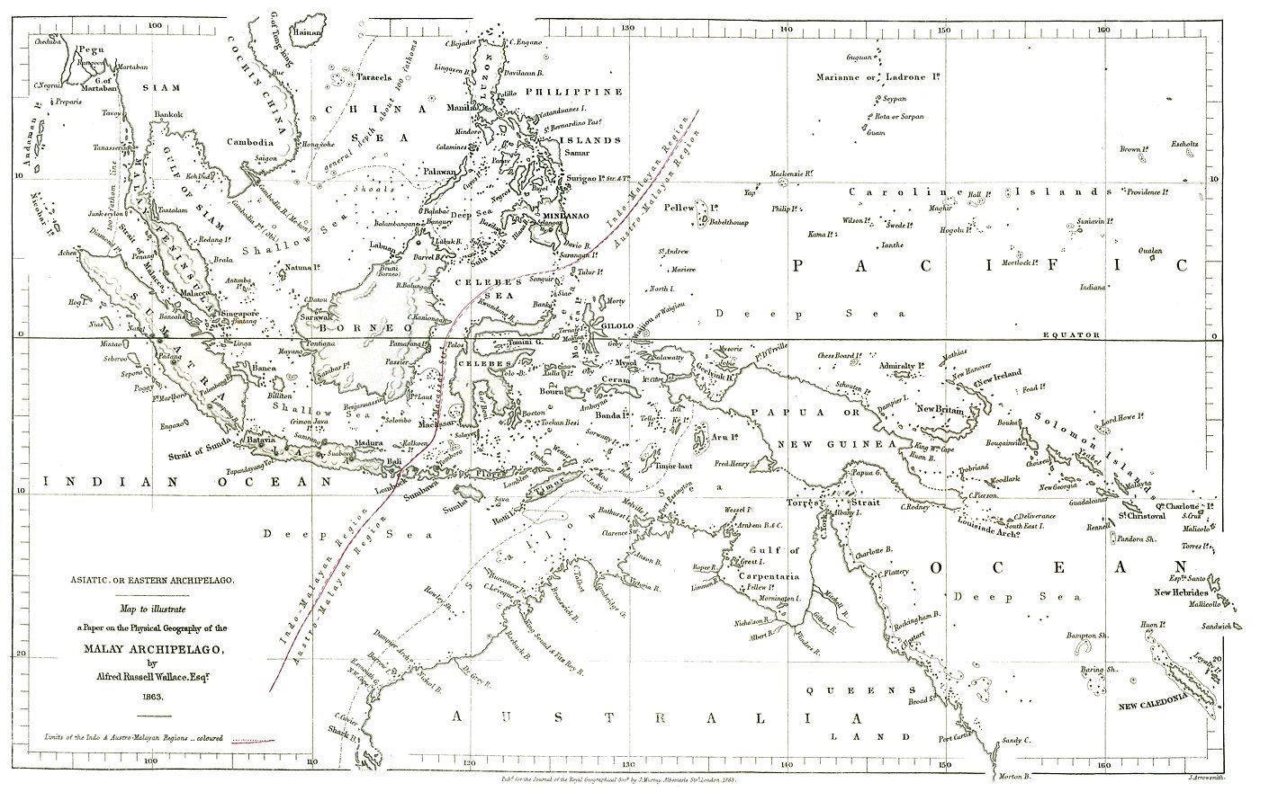 1600px-Wallace-line1