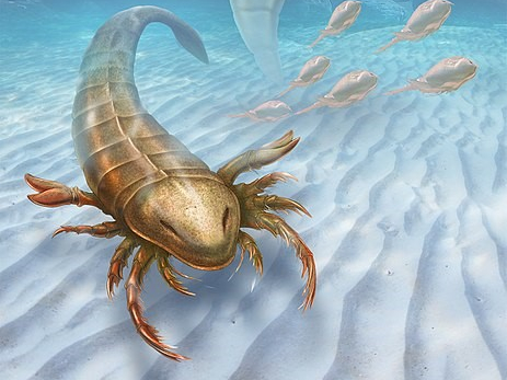 Episode 156 – Eurypterids (Sea&nbsp;Scorpions)