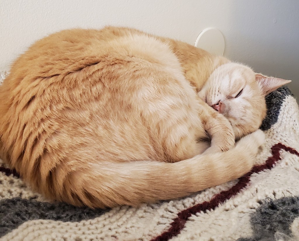 Episode 161 –&nbsp;Sleep