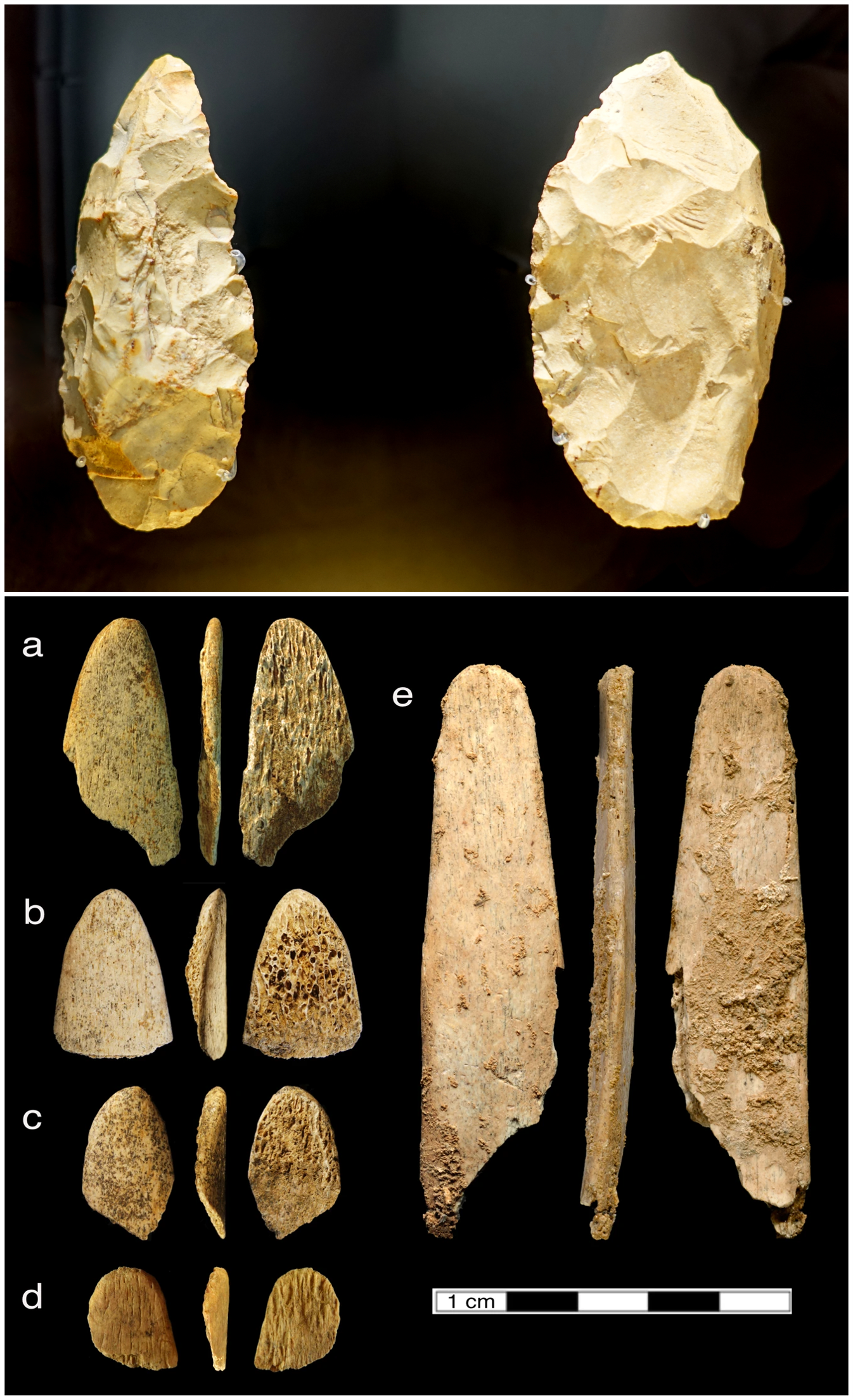 Neanderthal Shell Tools Episode 177 – Neanderthals – The Common Descent Podcast